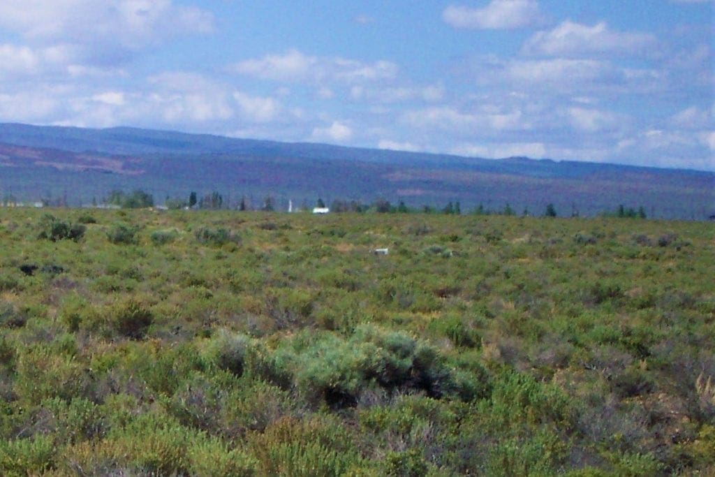 Large view of Great location to Escape City Life in Central Nevada 2 Adjoining Lots for sale Near Town Photo 10