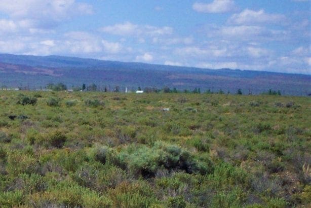 2 lots! 0.51 Acres Nevelco Unit #2 in Eureka County, Nevada photo 2