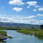 Thumbnail of 4.3 ACRES~EUREKA CO, NEVADA~GORGEOUS MINI RANCH EAST OF CRESCENT VALLEY~AMAZING MT. TENABO (9171 FT) VIEWS~ANTELOPE, DEER & ELK COUNTRY! Photo 5