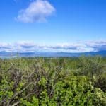 Thumbnail of 1.54 ACRES IN BEAUTIFUL OREGON PINES THAT ADJOINS THE FREMONT-WINEMA NATIONAL FOREST PRIVATE ACCESS TO MIILIONS OF ACRES OF PLAYGROUND Photo 4