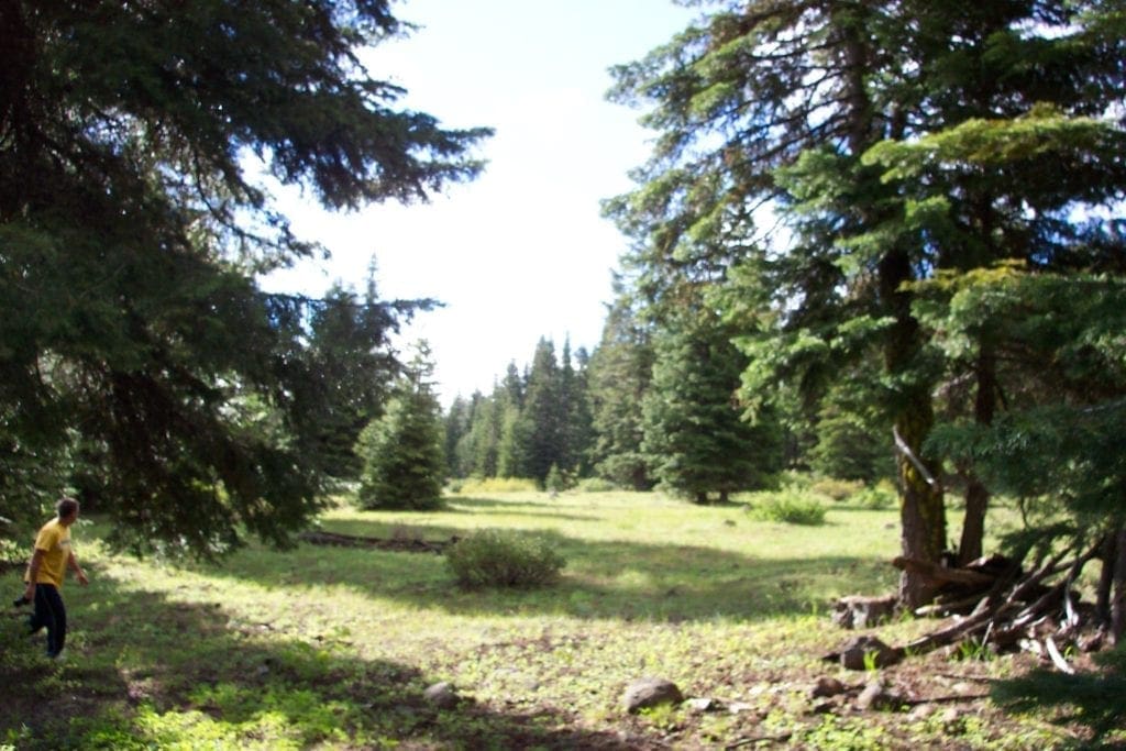 Large view of Gorgeous 10 Acre Ranchette Near Crater Lake with Old Growth Timber Photo 9