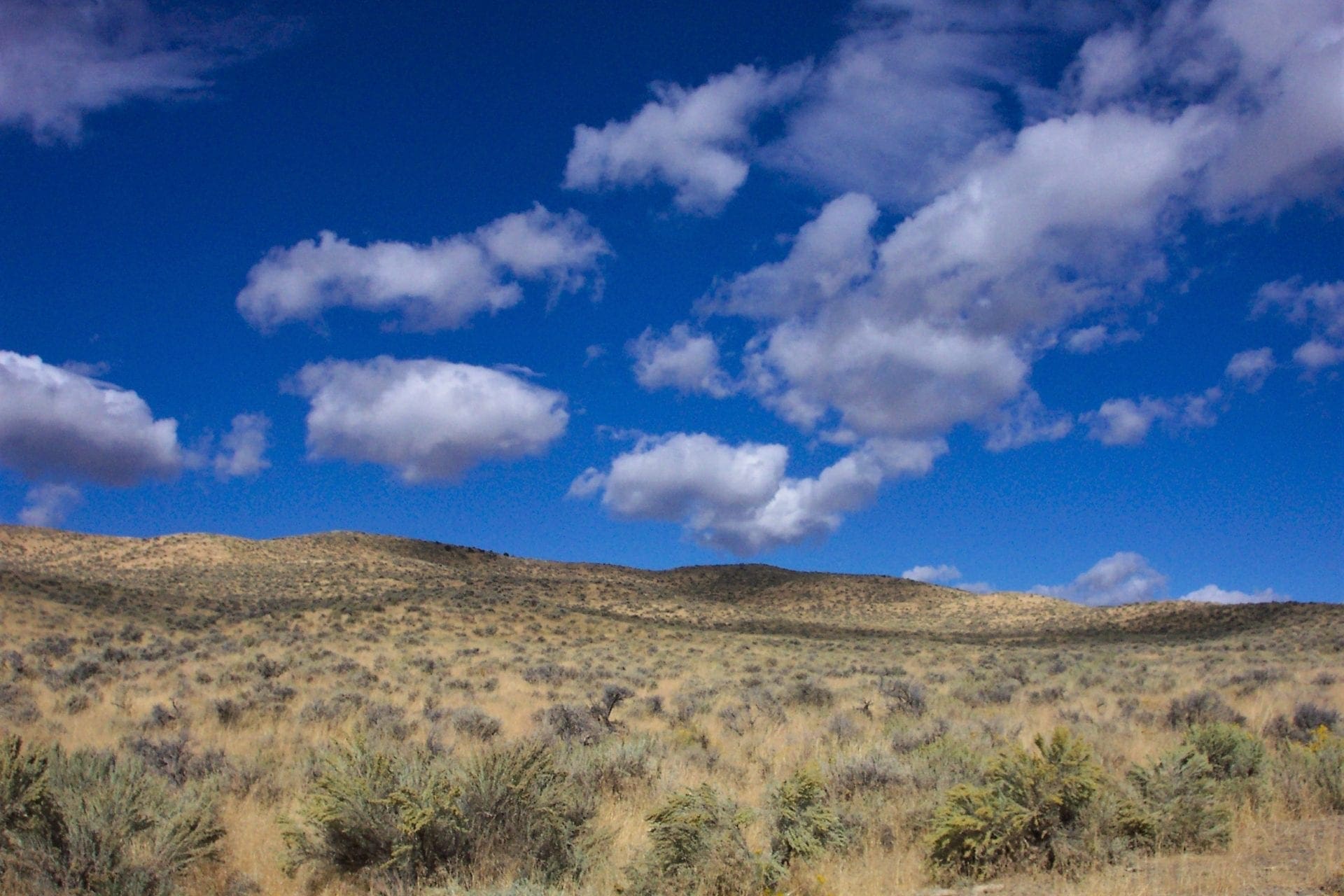 44.180 Large Nevada Mountain Land with Seasonal Stream OIL, GAS & MINERAL RIGHTS Included photo 4