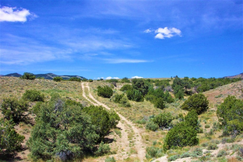 Large view of 6 LOTS IN THE OLD HISTORIC TOWN OF CHERRY CREEK, NEVADA ~ TREED, POWER, ROAD AND MILLION DOLLAR VIEWS Photo 6