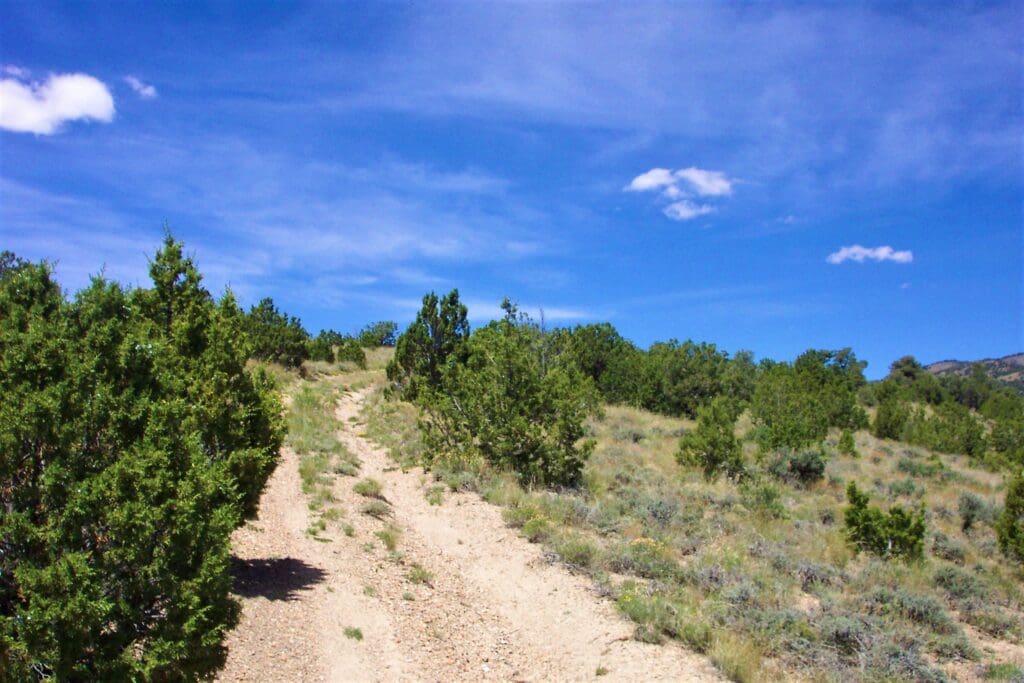 Large view of 6 LOTS IN THE OLD HISTORIC TOWN OF CHERRY CREEK, NEVADA ~ TREED, POWER, ROAD AND MILLION DOLLAR VIEWS Photo 13