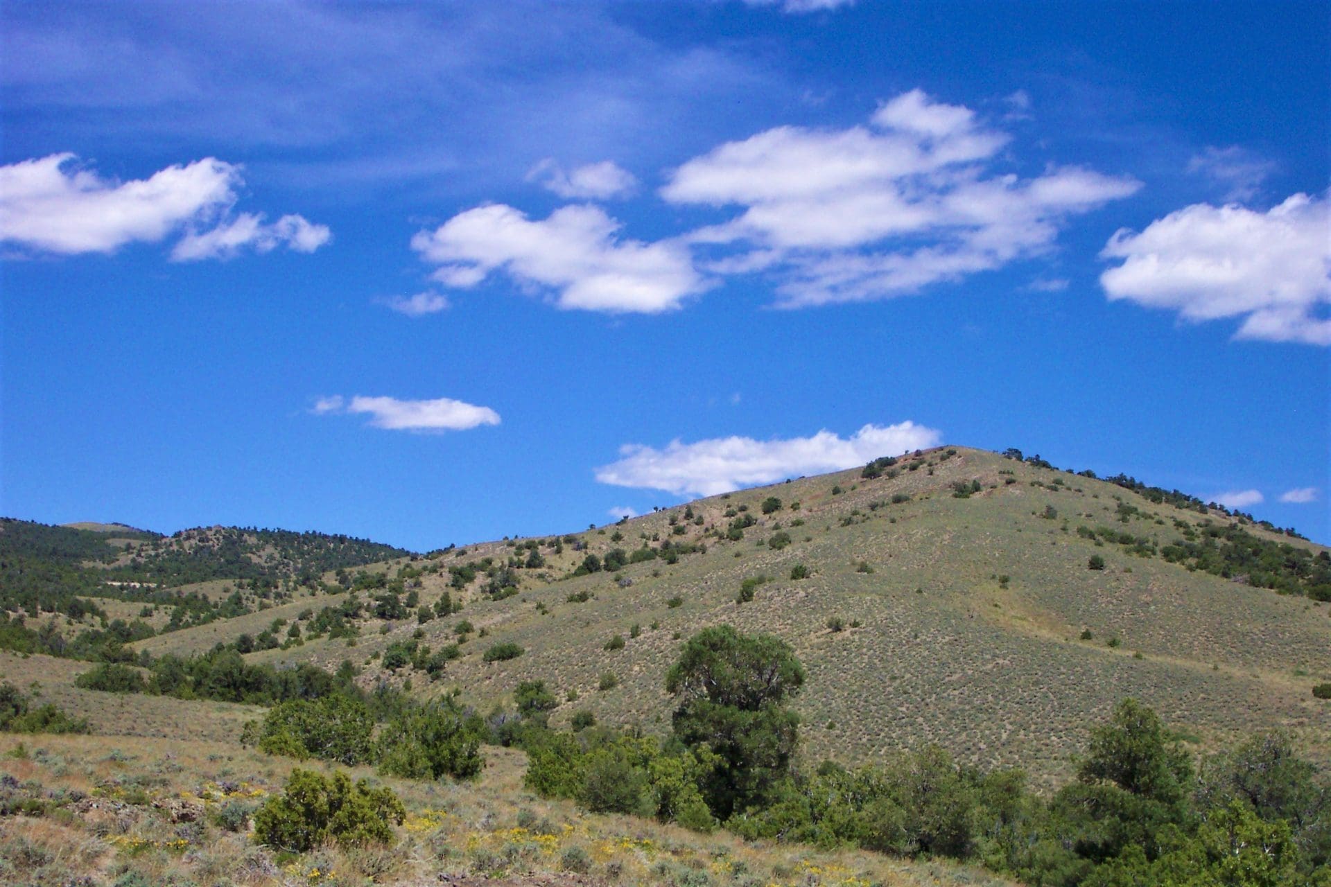 6 LOTS IN THE OLD HISTORIC TOWN OF CHERRY CREEK, NEVADA ~ TREED, POWER, ROAD AND MILLION DOLLAR VIEWS photo 10