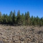 Thumbnail of Breathtaking 5.07 Acre Marketable Timbered Lot In Klamath County, Oregon ~ ADJOINS FREMONT NATIONAL FOREST near California Border! Photo 6