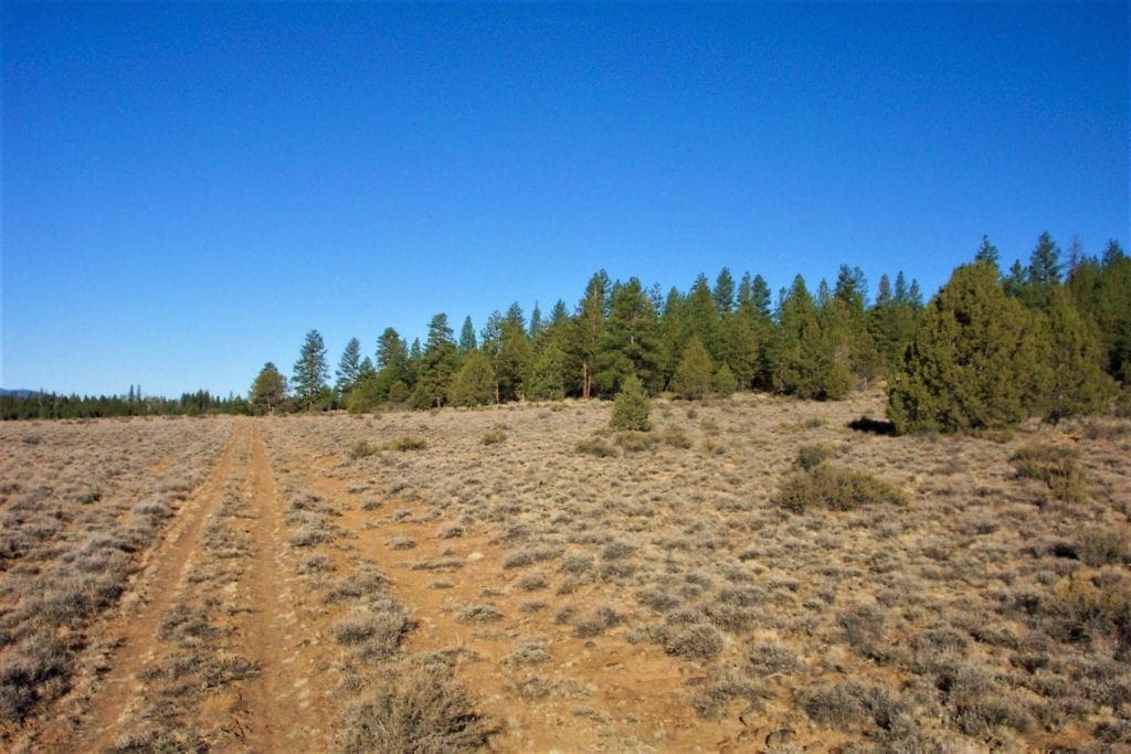 Large view of 1.47 ACRES IN BEAUTIFUL OREGON PINES NEAR CALIFORNIA BORDER ADJOINING LOT AVAILABLE. Photo 4