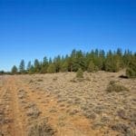 Thumbnail of 1.47 ACRES IN BEAUTIFUL OREGON PINES NEAR CALIFORNIA BORDER ADJOINING LOT AVAILABLE. Photo 4