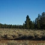 Thumbnail of Breathtaking 5.07 Acre Marketable Timbered Lot In Klamath County, Oregon ~ ADJOINS FREMONT NATIONAL FOREST near California Border! Photo 9