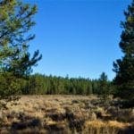 Thumbnail of 2.50 Acres in Southern Oregon Near California Border. Photo 3