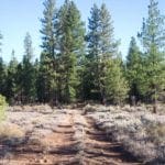 Thumbnail of Breathtaking 5.07 Acre Marketable Timbered Lot In Klamath County, Oregon ~ ADJOINS FREMONT NATIONAL FOREST near California Border! Photo 10