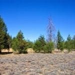 Thumbnail of 36 Acres Central Oregon Near California TWO Parcels Separated by County Road Photo 3