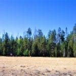 Thumbnail of 9.86 Acres in the Heart of Fremont-Winema National Forest with Timber, Meadow & Seasonal Stream. Photo 13