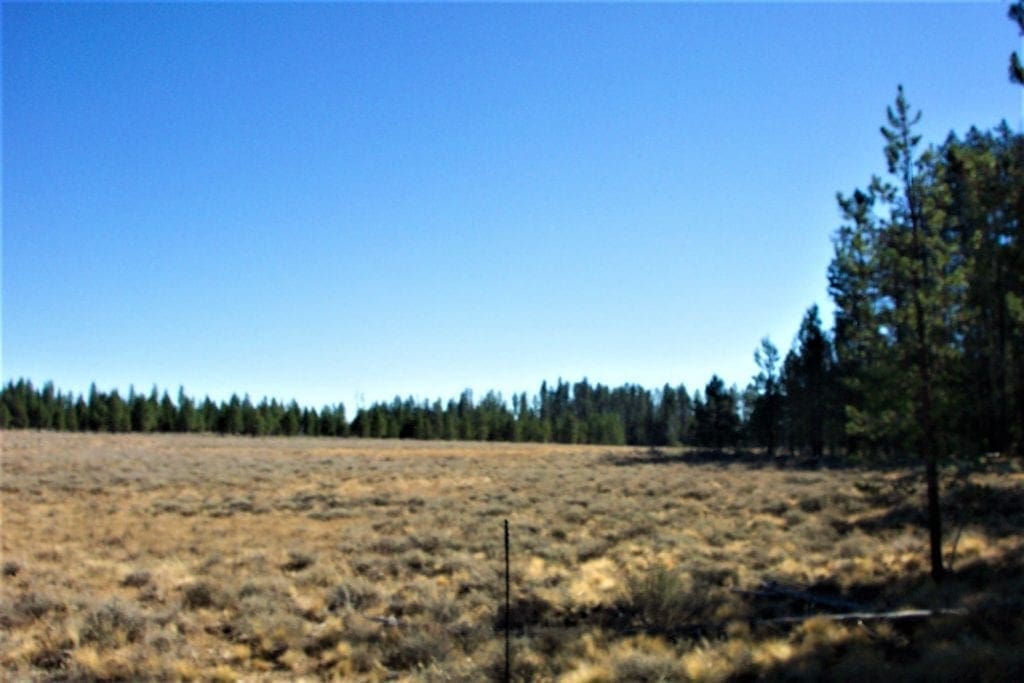 Large view of 36 Acres Central Oregon Near California TWO Parcels Separated by County Road Photo 2