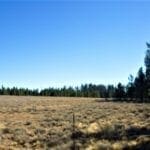 Thumbnail of 36 Acres Central Oregon Near California TWO Parcels Separated by County Road Photo 2