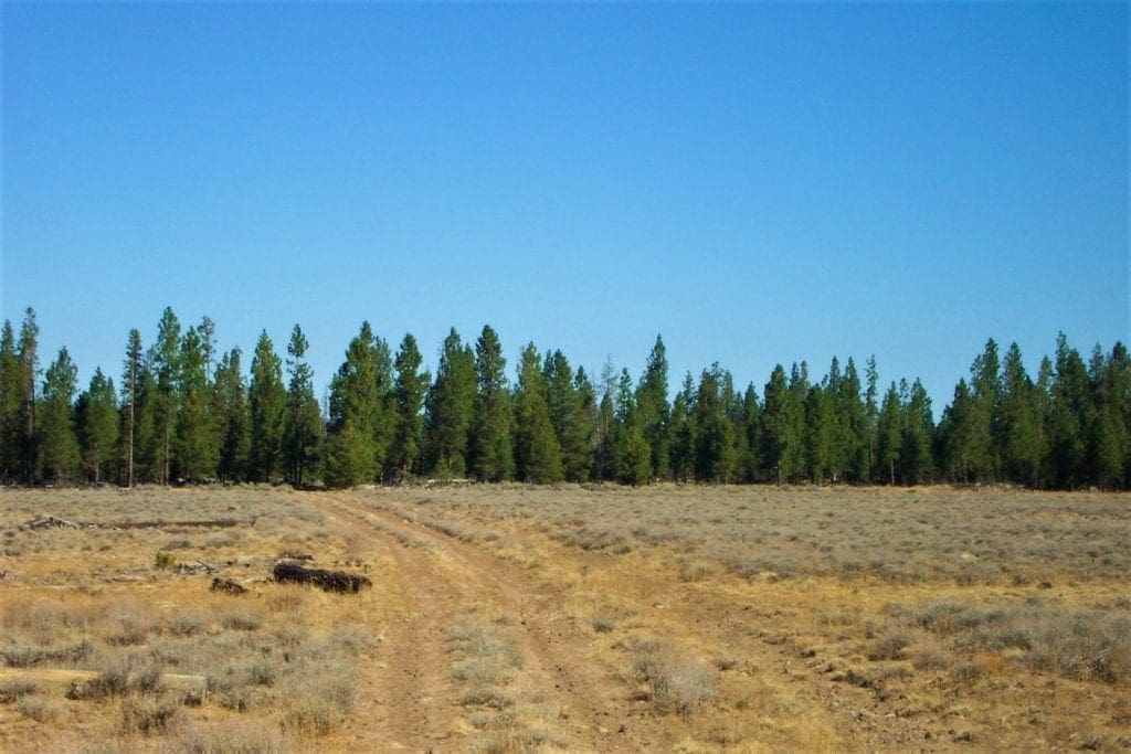 Large view of 36 Acres Central Oregon Near California TWO Parcels Separated by County Road Photo 10