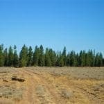Thumbnail of 9.86 Acres in the Heart of Fremont-Winema National Forest with Timber, Meadow & Seasonal Stream. Photo 14