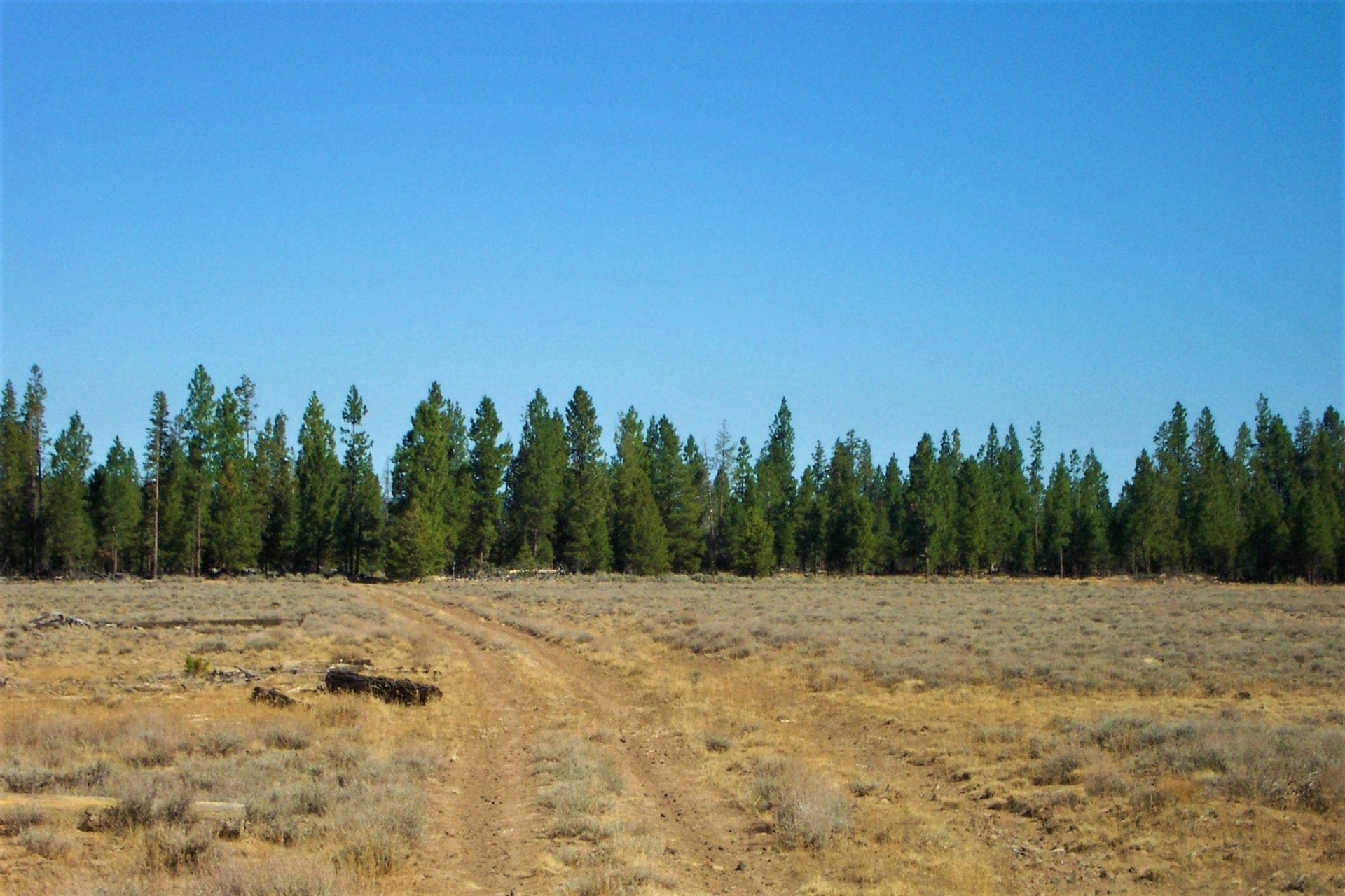 36 Acres Central Oregon Near California TWO Parcels Separated by County Road photo 10