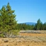 Thumbnail of 9.86 Acres in the Heart of Fremont-Winema National Forest with Timber, Meadow & Seasonal Stream. Photo 17