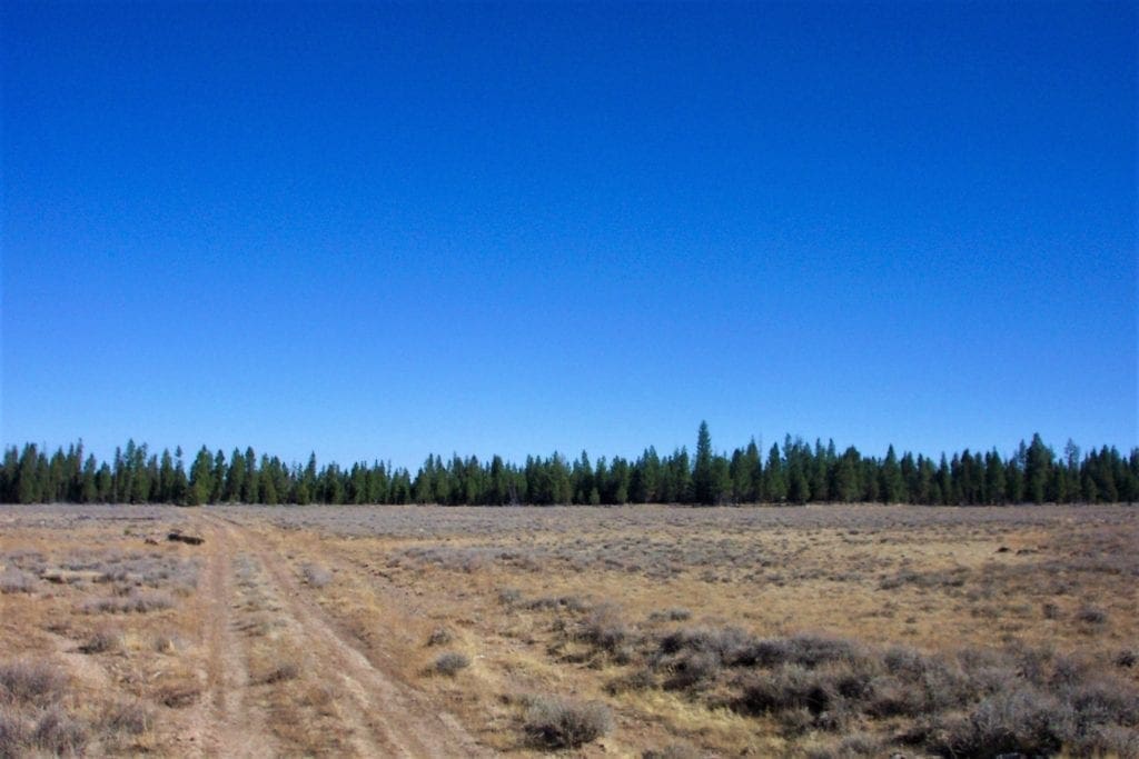 Large view of 9.86 Acres in the Heart of Fremont-Winema National Forest with Timber, Meadow & Seasonal Stream. Photo 16