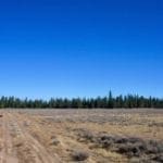 Thumbnail of 9.86 Acres in the Heart of Fremont-Winema National Forest with Timber, Meadow & Seasonal Stream. Photo 16