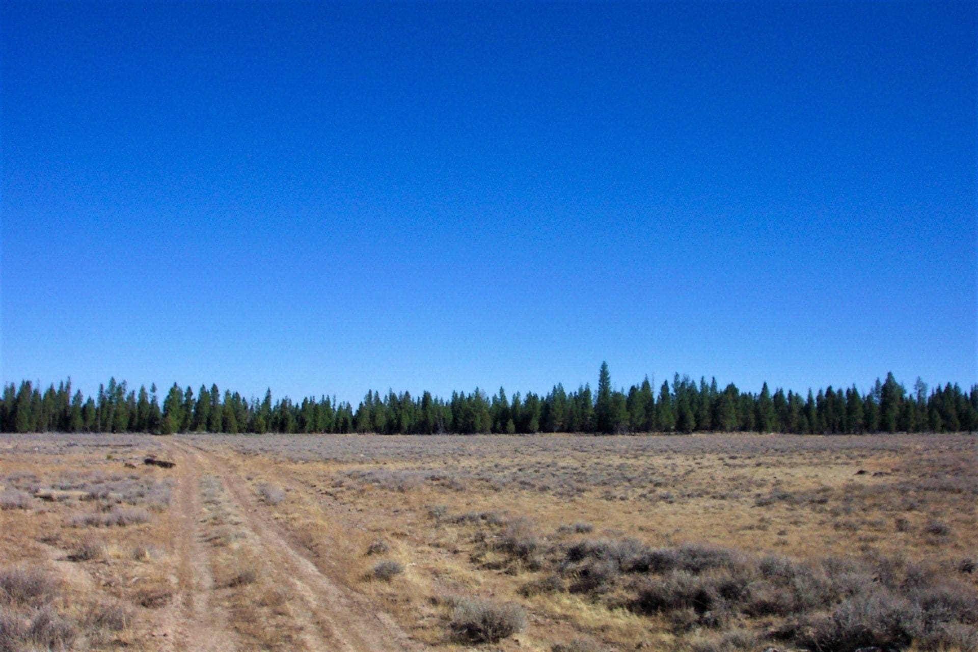 36 Acres Central Oregon Near California TWO Parcels Separated by County Road photo 9