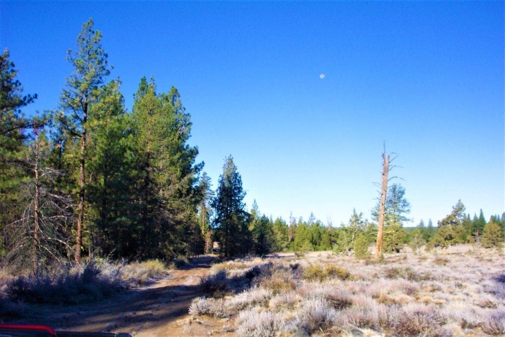 Large view of 9.86 Acres in the Heart of Fremont-Winema National Forest with Timber, Meadow & Seasonal Stream. Photo 9