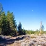 Thumbnail of 9.86 Acres in the Heart of Fremont-Winema National Forest with Timber, Meadow & Seasonal Stream. Photo 9
