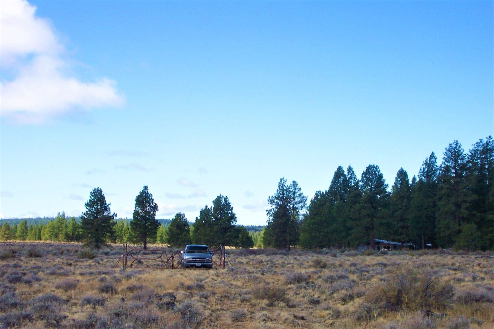 36 Acres Central Oregon Near California TWO Parcels Separated by County Road photo 13