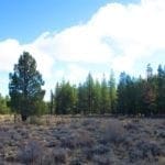 Thumbnail of 9.86 Acres in the Heart of Fremont-Winema National Forest with Timber, Meadow & Seasonal Stream. Photo 7