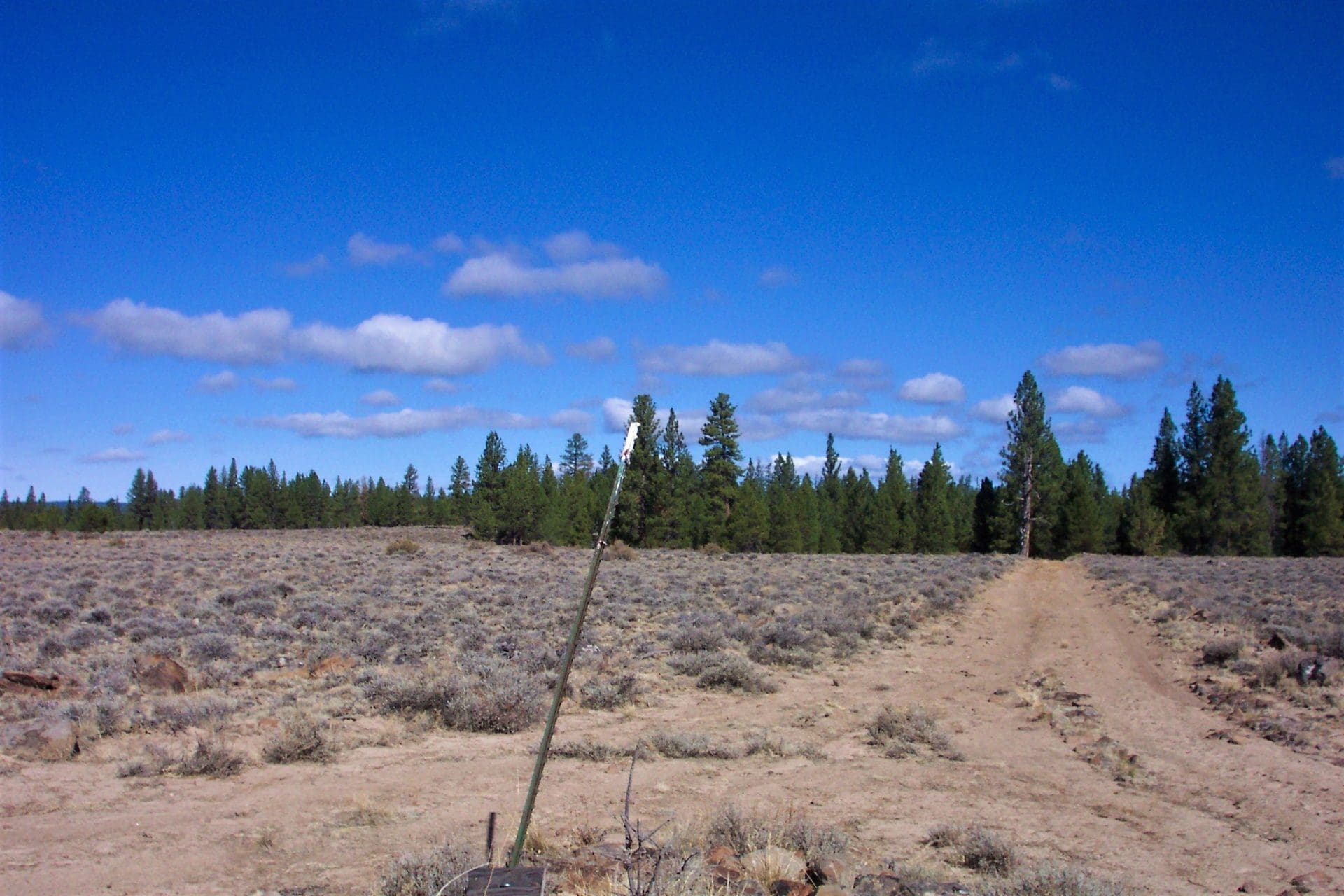 1.57 ACRES IN BEAUTIFUL OREGON PINES KLAMATH COUNTY, OREGON ~ GORGEOUS VIEWS & TONS OF WILDLIFE! photo 7