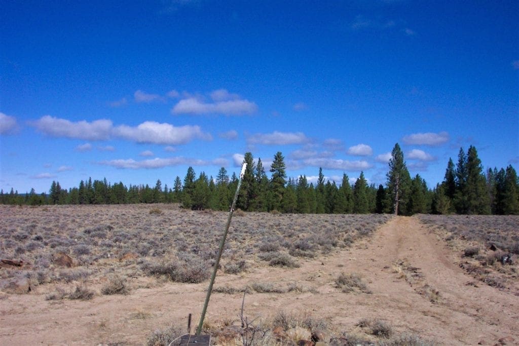 Large view of 9.86 Acres in the Heart of Fremont-Winema National Forest with Timber, Meadow & Seasonal Stream. Photo 6