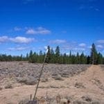 Thumbnail of 36 Acres Central Oregon Near California TWO Parcels Separated by County Road Photo 8