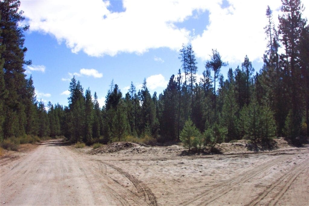 Large view of 9.86 Acres in the Heart of Fremont-Winema National Forest with Timber, Meadow & Seasonal Stream. Photo 8