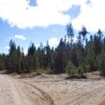 Thumbnail of 9.86 Acres in the Heart of Fremont-Winema National Forest with Timber, Meadow & Seasonal Stream. Photo 8