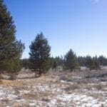 Thumbnail of 36 Acres Central Oregon Near California TWO Parcels Separated by County Road Photo 19