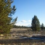 Thumbnail of 36 Acres Central Oregon Near California TWO Parcels Separated by County Road Photo 5