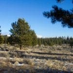 Thumbnail of 1.47 ACRES IN BEAUTIFUL OREGON PINES NEAR CALIFORNIA BORDER ADJOINING LOT AVAILABLE. Photo 5