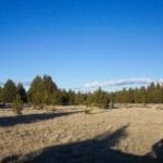 Thumbnail of 36 Acres Central Oregon Near California TWO Parcels Separated by County Road Photo 22
