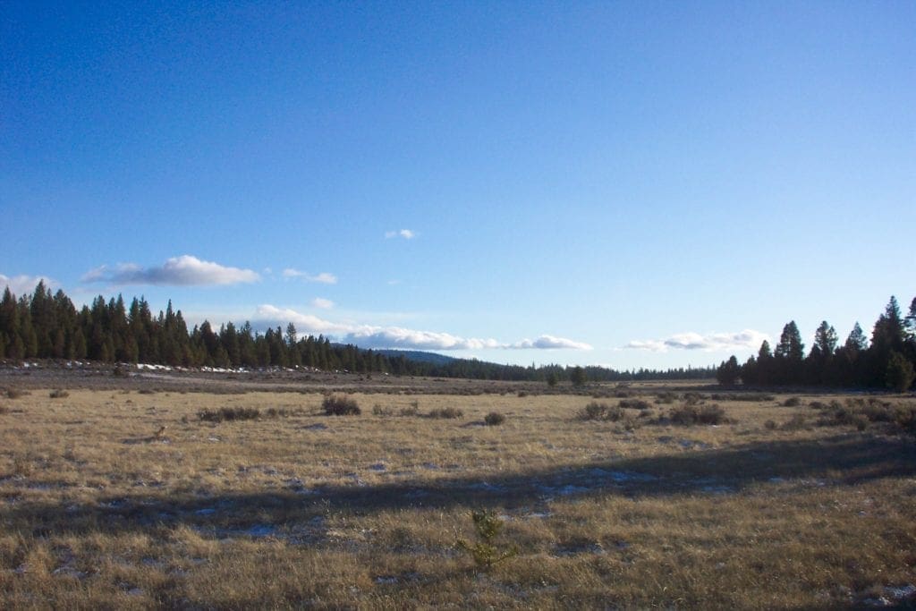 Large view of Breathtaking 5.07 Acre Marketable Timbered Lot In Klamath County, Oregon ~ ADJOINS FREMONT NATIONAL FOREST near California Border! Photo 12