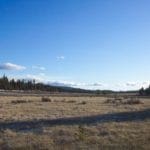 Thumbnail of Breathtaking 5.07 Acre Marketable Timbered Lot In Klamath County, Oregon ~ ADJOINS FREMONT NATIONAL FOREST near California Border! Photo 12