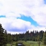 Thumbnail of 8.25 Acre Timbered Ranch Located in the Klamath Falls Forest Estates Footsteps to Fremont-Winema National Forest with Paved Road Frontage. Photo 7