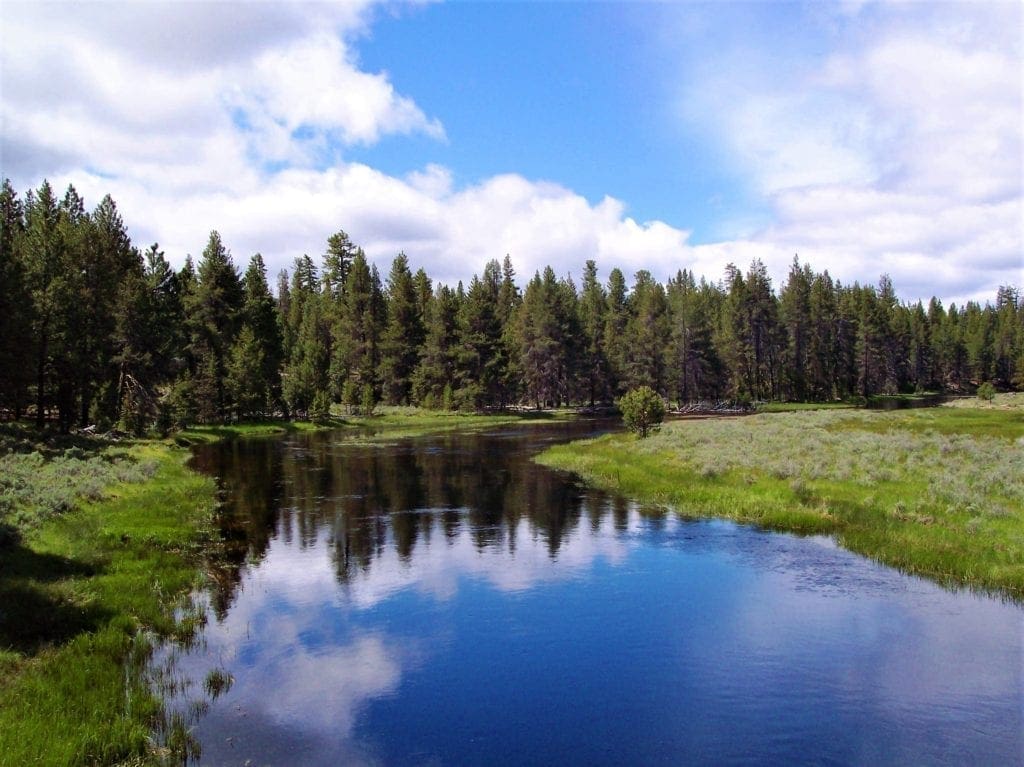 Large view of Pretty 9.86 Acre Sycan Unit Ranch Property with Lush Meadow & Old Growth Timber near Merritt Creek Photo 3
