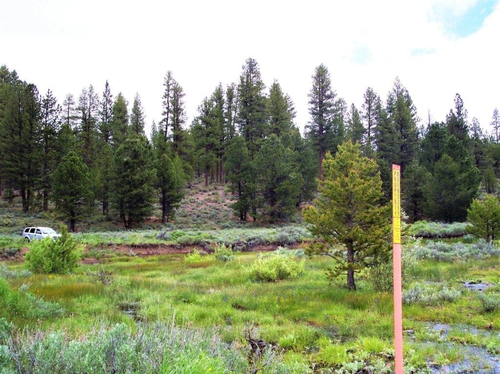 Large view of 11.31 Acre Lot In Klamath County that backs Fremont-Winema National Forest! Photo 20