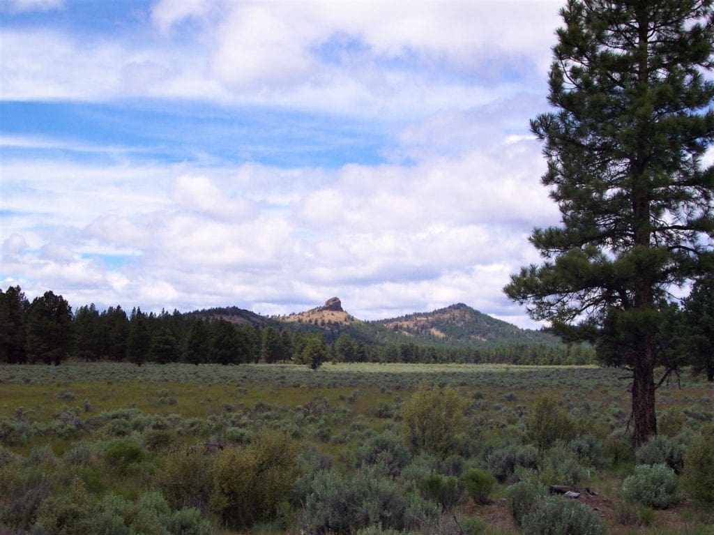 Large view of 2.50 Acres in Southern Oregon Near California Border. Photo 5