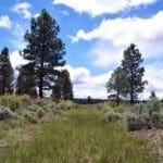 Thumbnail of 11.31 Acre Lot In Klamath County that backs Fremont-Winema National Forest! Photo 14