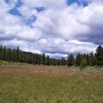 Thumbnail of Pretty 9.86 Acre Sycan Unit Ranch Property with Lush Meadow & Old Growth Timber near Merritt Creek Photo 10