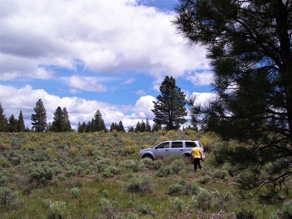 Large view of 11.31 Acre Lot In Klamath County that backs Fremont-Winema National Forest! Photo 13
