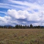 Thumbnail of Amazing Sprague River Valley Views! 1.67 Acres in Klamath County, Oregon ~ Treed, Road, Wild Horses! Photo 18
