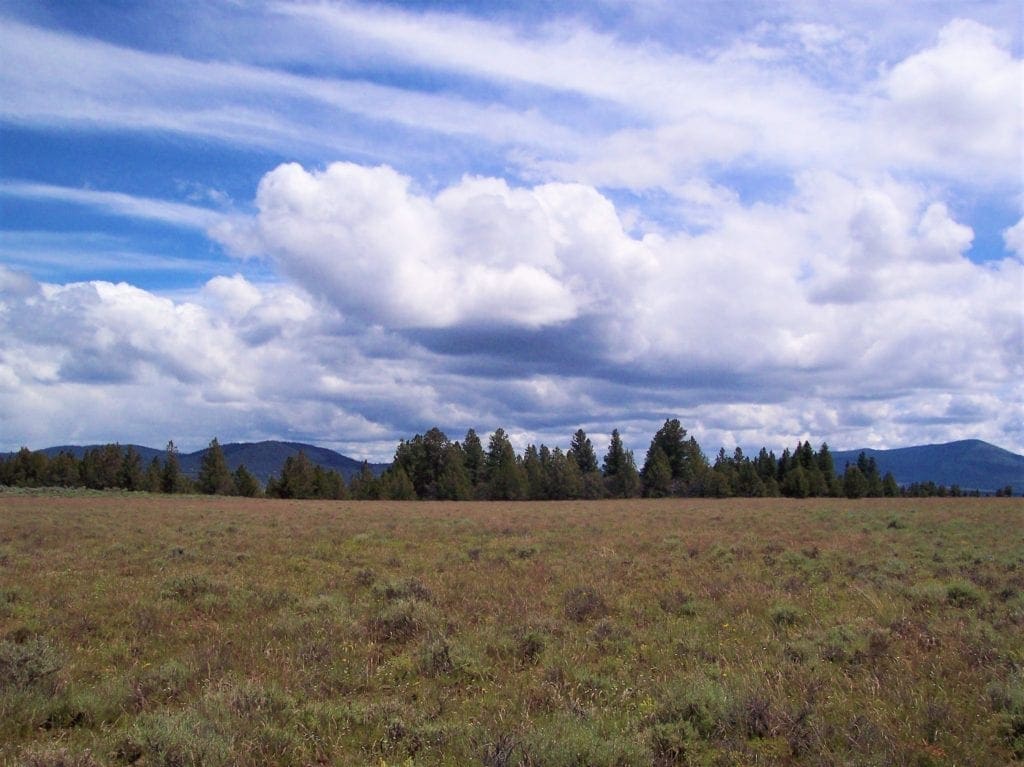 Large view of Pretty 9.86 Acre Sycan Unit Ranch Property with Lush Meadow & Old Growth Timber near Merritt Creek Photo 8